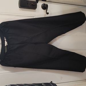 Size 16 Black Stretch Waistband Dress Pants